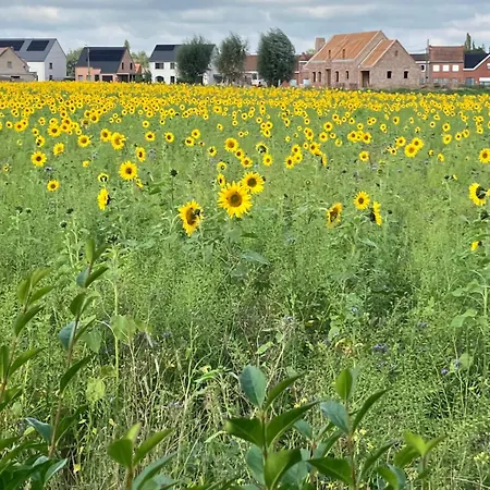 Vakantiewoning Het Boomkwekerijhuis *